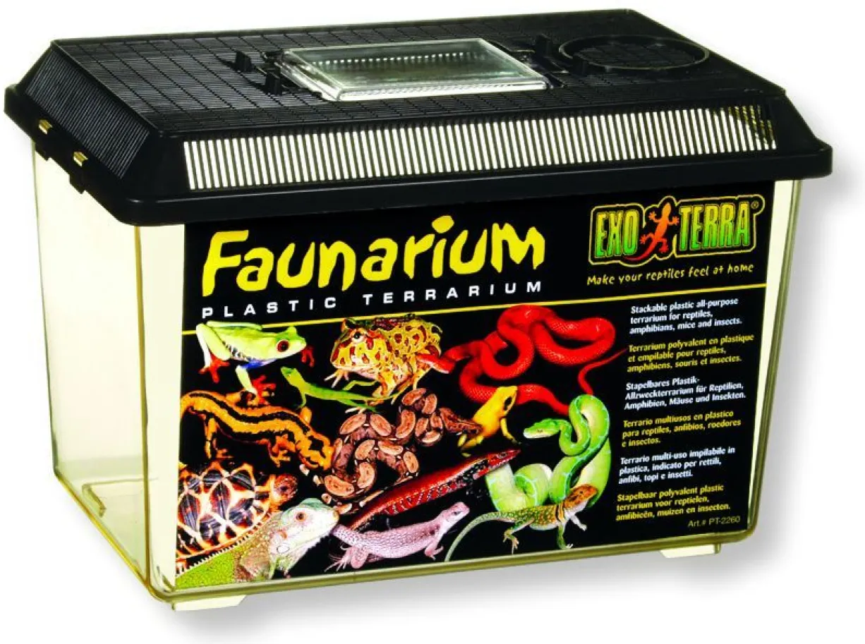 Insectarium kit pour insectes