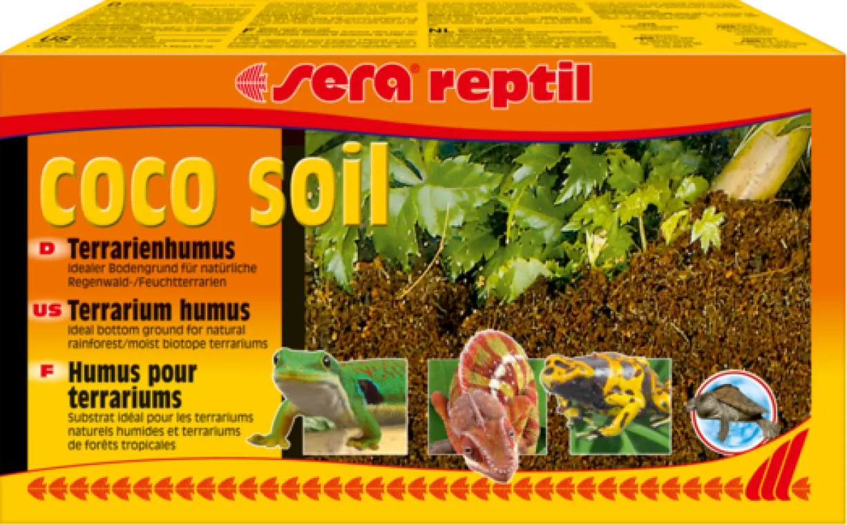 Insectarium kit pour insectes