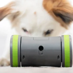 Jouet chien distributeur de friandise KIBBLE CHASE - PetSafe