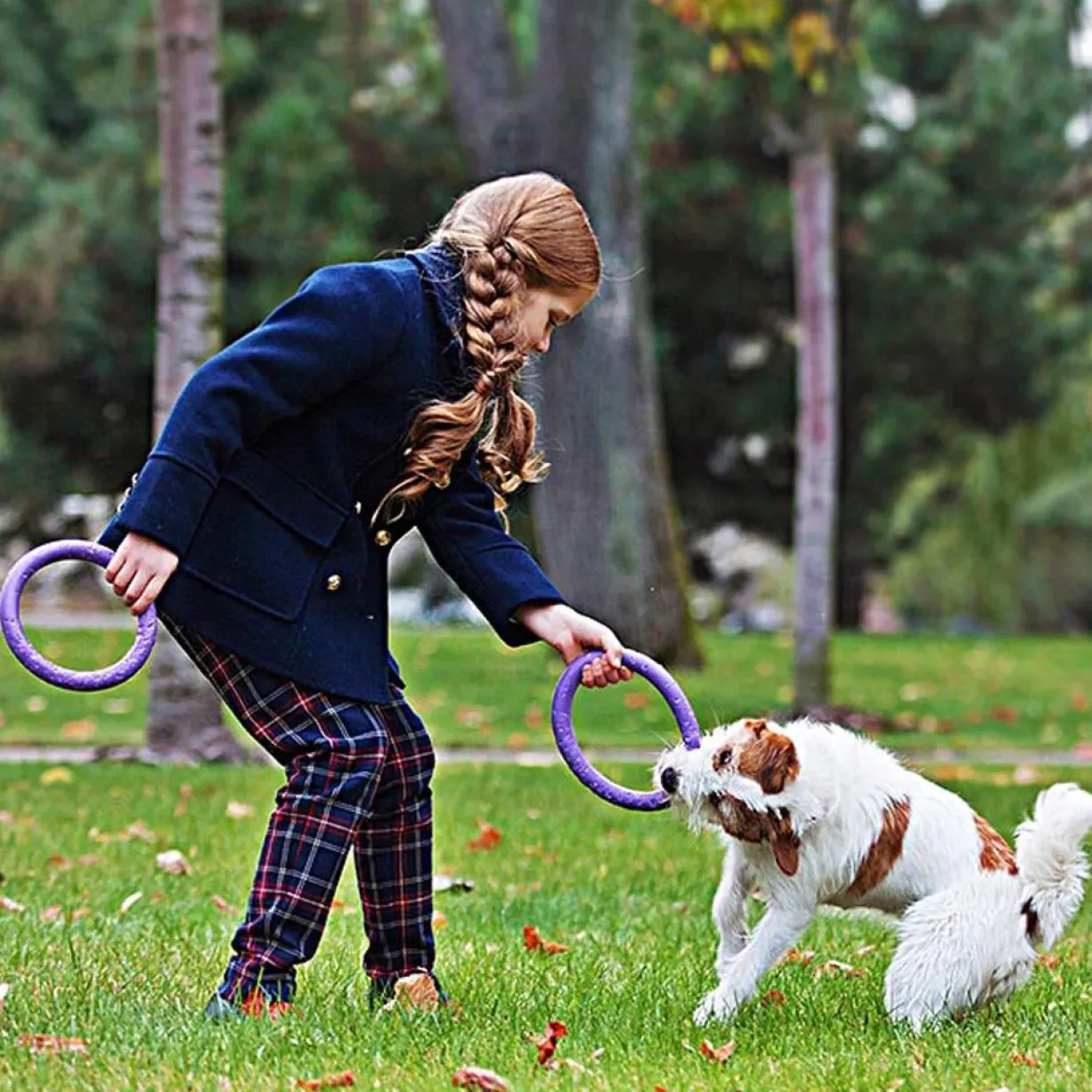 Jouet interactif pour chien Puller Mini x2 - Ferplast