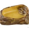 Kit accessoires pour tortue terrestre