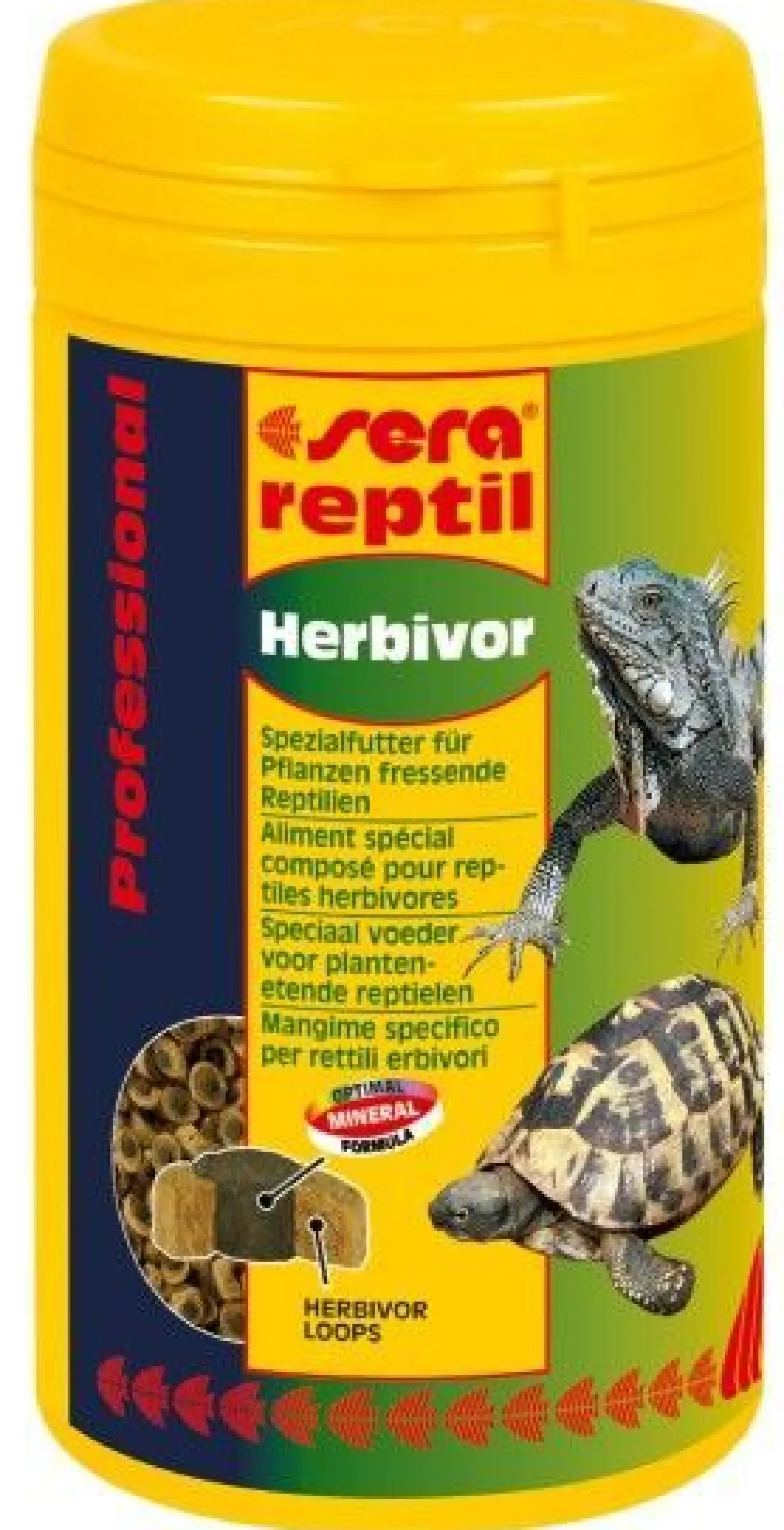 Kit accessoires pour tortue terrestre