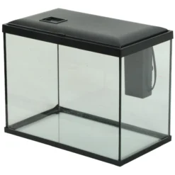 Kit aquarium poisson Initio 35cm noir et décor Landscape Tree - Zolux
