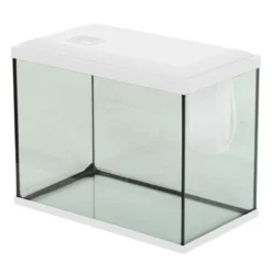 Kit aquarium poisson Initio 35cm blanc et décor Landscape Road - Zolux