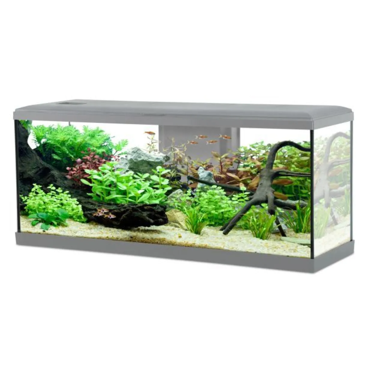 Kit aquarium poisson Tana LED 100 gris et meuble Iseo Tana 100 mélaminé gris - Zolux