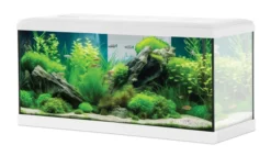 Kit aquarium poisson Tana LED 80 blanc et meuble Iseo Tana 80 mélaminé blanc - Zolux
