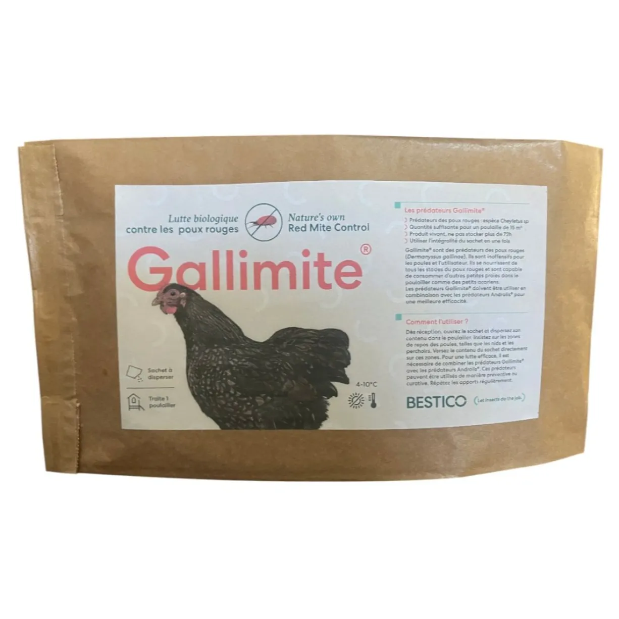 Kit soin anti poux gris poule Gallimite + Appic’ure - Bestico