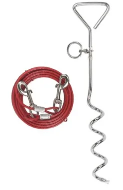 Laisse d'attache avec ancrage spirale