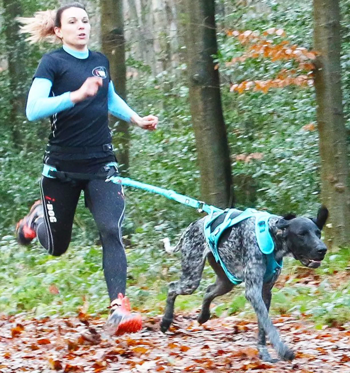 Laisse de traction Opale 1,9m Strong Bleu - I-Dog