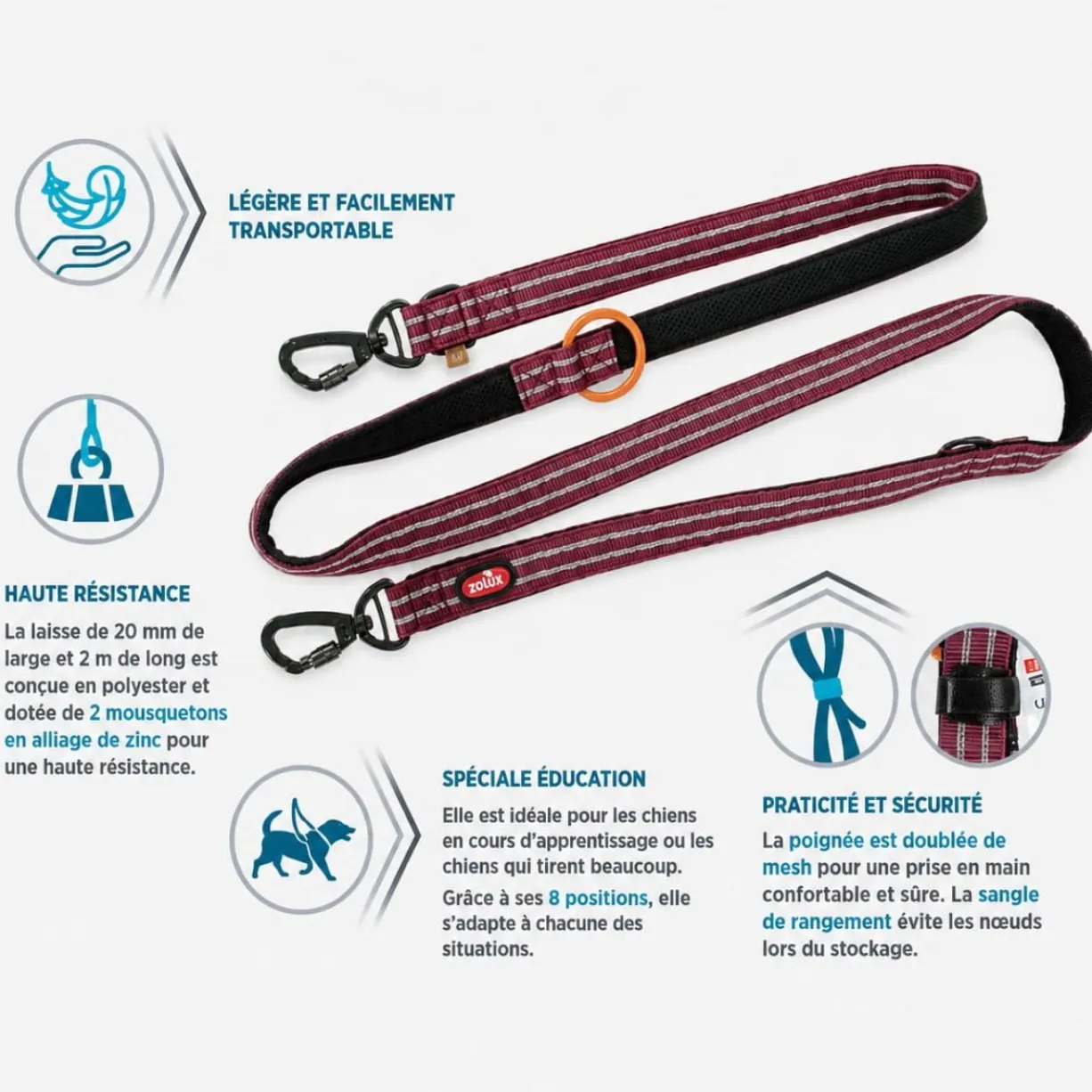 Laisse éducation chien Bivouak 2m bleue - Zolux