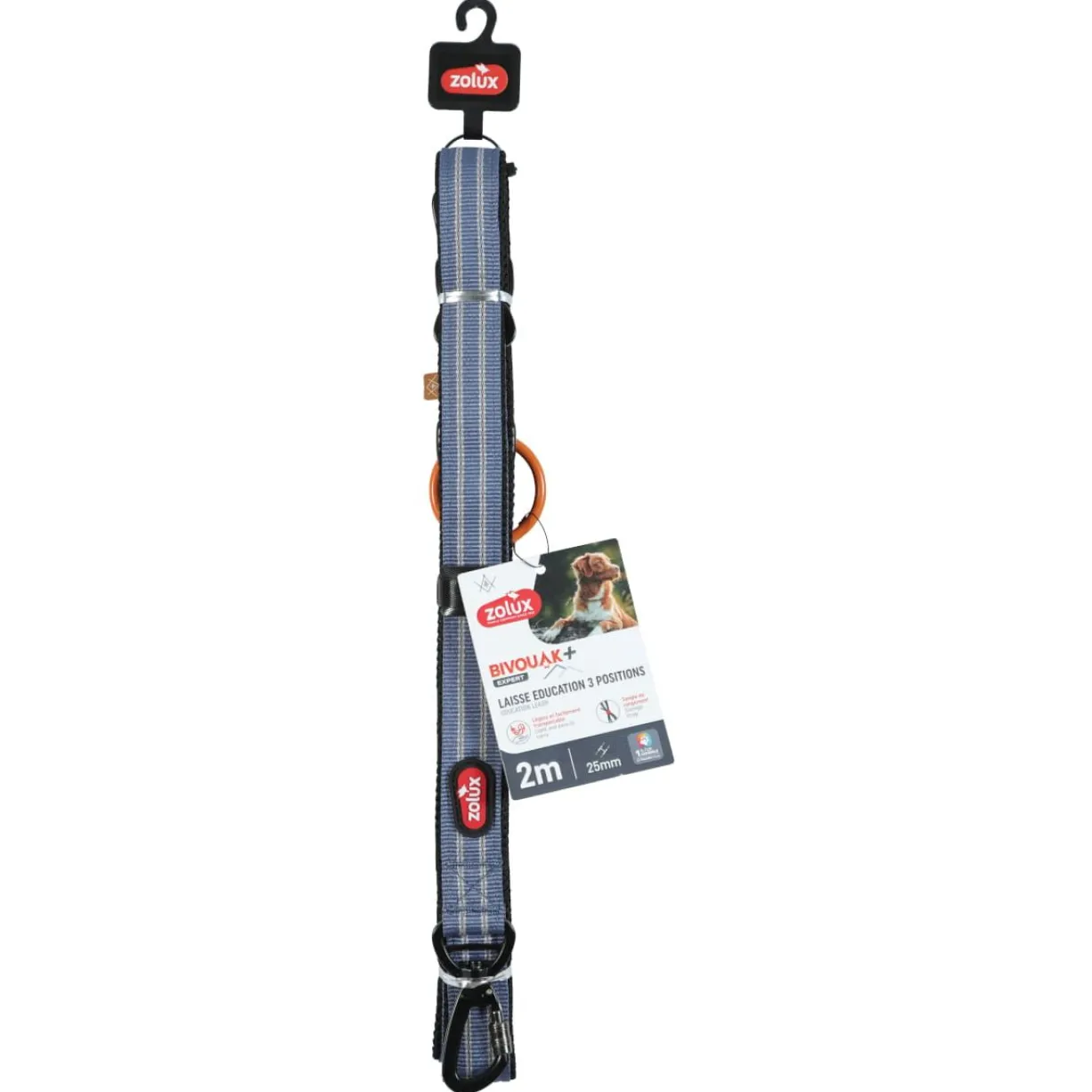 Laisse éducation chien Bivouak 2m bleue - Zolux