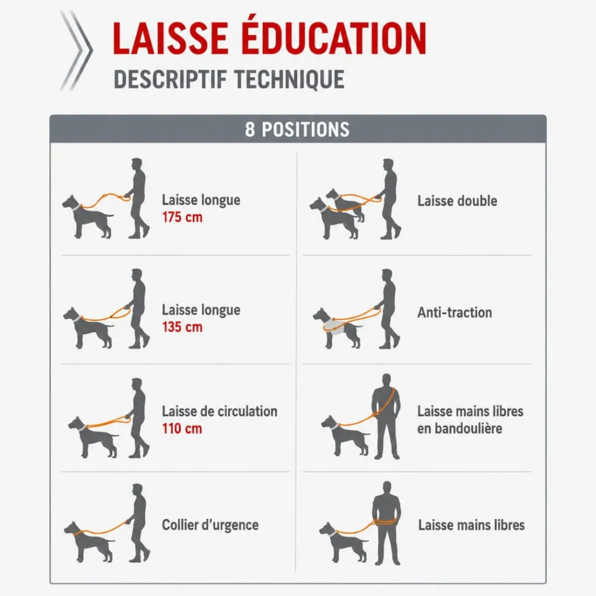 Laisse éducation chien Bivouak 2m bleue - Zolux