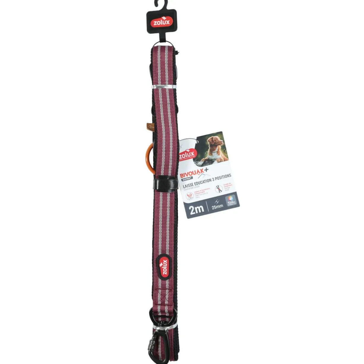 Laisse éducation chien Bivouak 2m rouge - Zolux