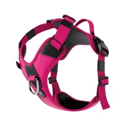 Laisse Ladder Combat et harnais Hurricane rose carmin taille L - BullyBillows