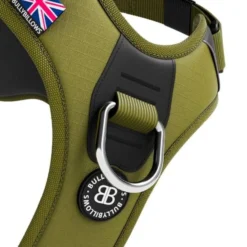 Laisse Ladder Combat et harnais Hurricane vert olive taille M - BullyBillows