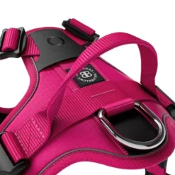 Laisse Ladder Combat et harnais Hurricane rose carmin taille M - BullyBillows
