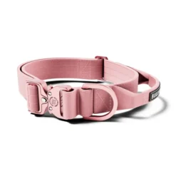 Laisse Lighter Swivel Combat et collier Lighter Combat Collar 4cm rose taille S - BullyBillows