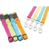 Laisse Nylon 1 Mètre 20mm