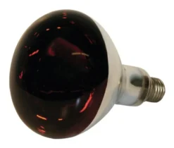 Lampe IR 150W