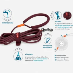 Longe ronde chien silicone Bivouak 10m bleue - Zolux