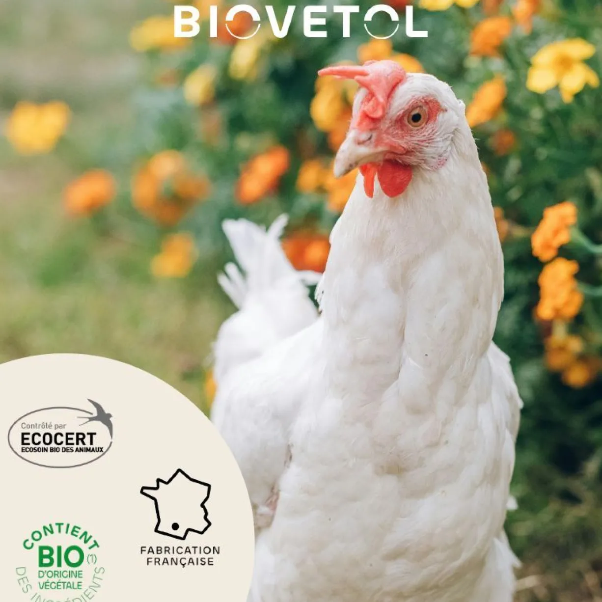 Lotion anti poux bio pour poule 240ML - Biovetol