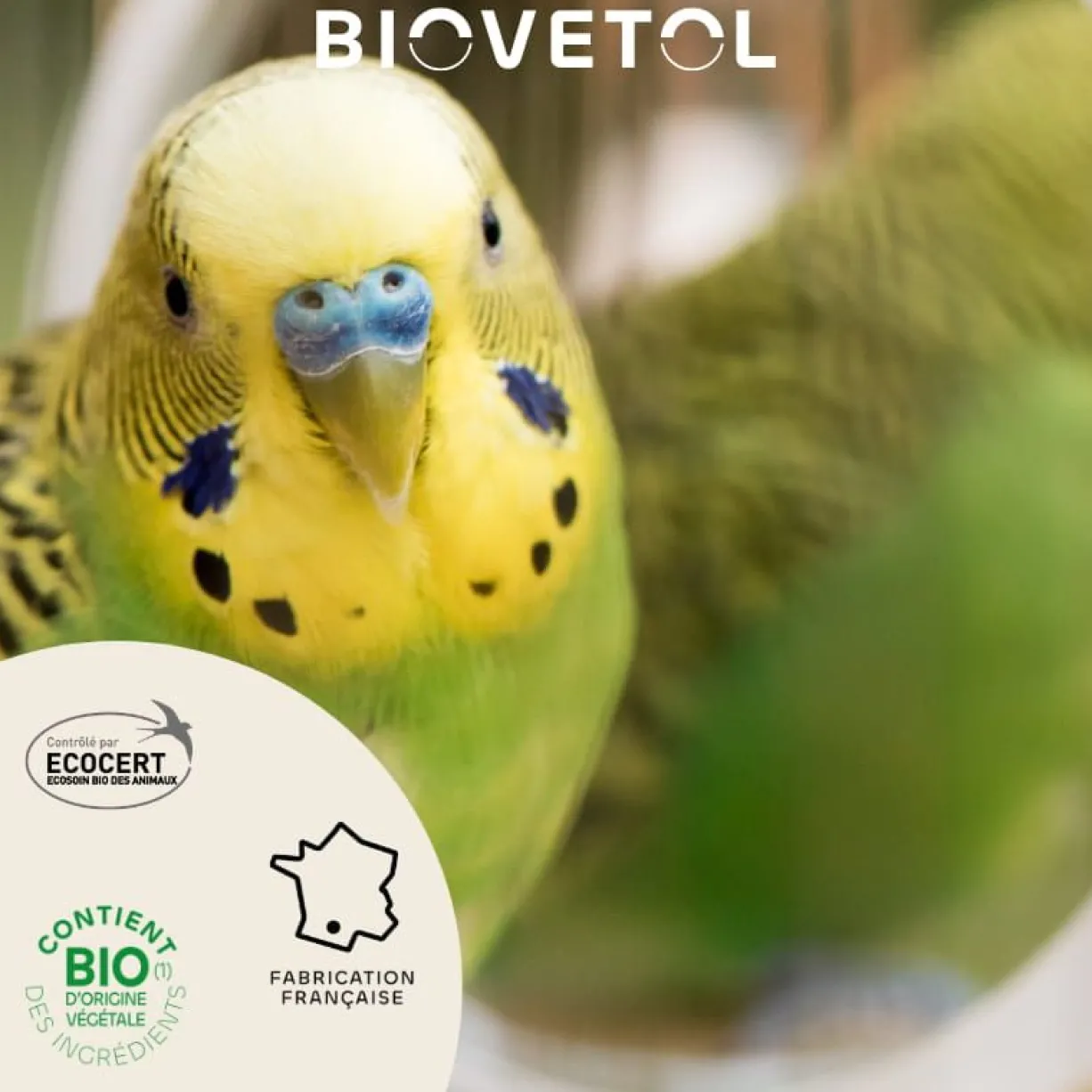 Lotion anti-poux oiseaux Bio 125ML - Biovetol