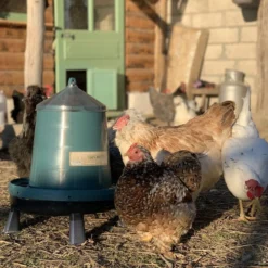Mangeoire poule en plastique recyclé Eco 8Kg avec pieds