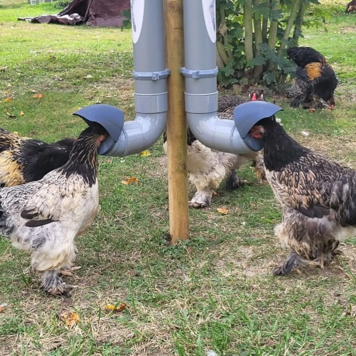 Mangeoire poule en plastique tube opaque gris Altéa 5kg - Evena