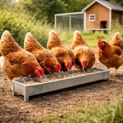 Mangeoire poule galva 75cm Eco - Gaun