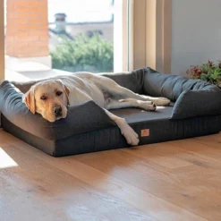 Matelas orthopédique pour chien Memor-One taille XL - Ferplast
