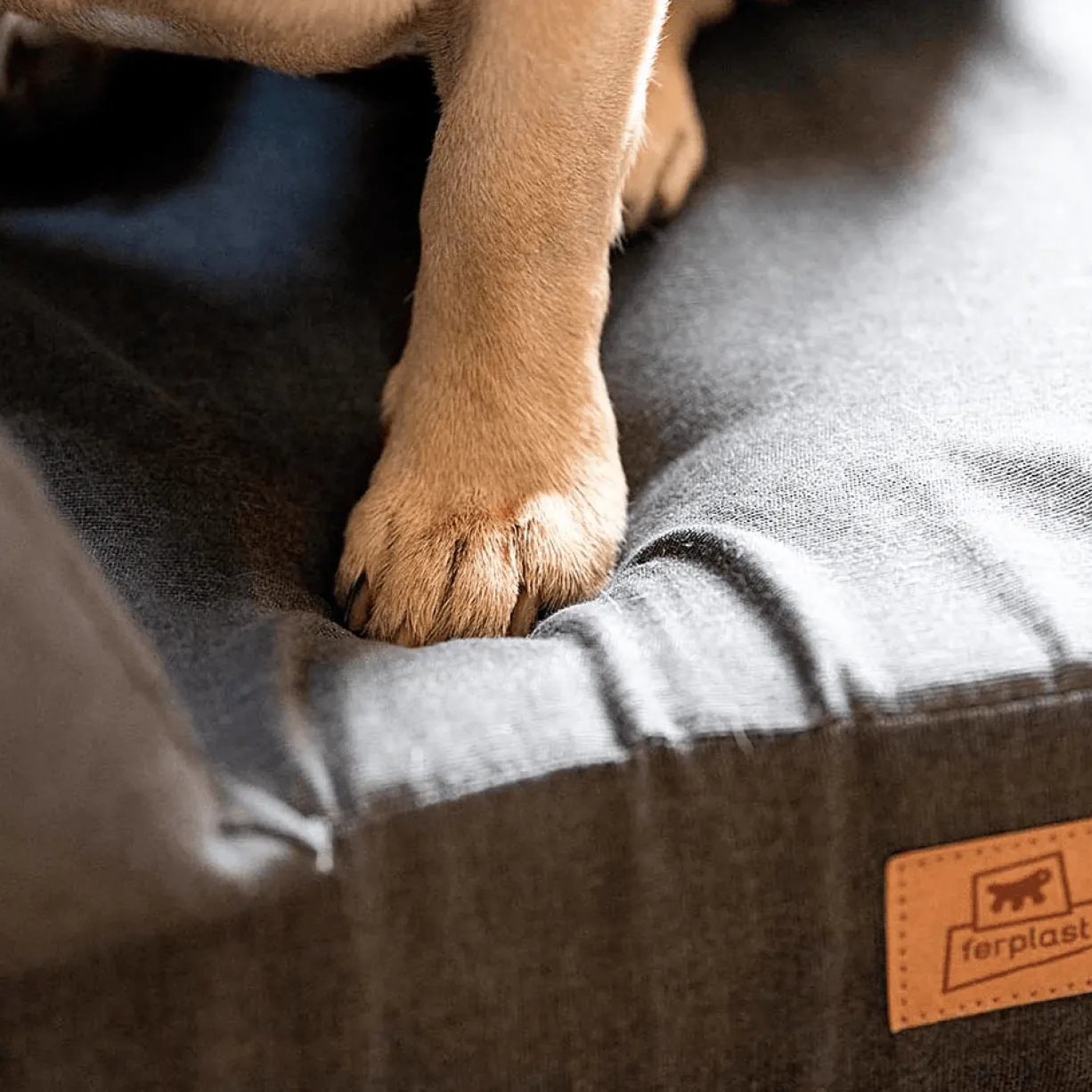 Matelas orthopédique pour chien Memor-One taille L - Ferplast