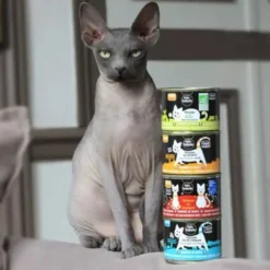 Mousse à la Saint-Jacques chat 200g - Petite Balade