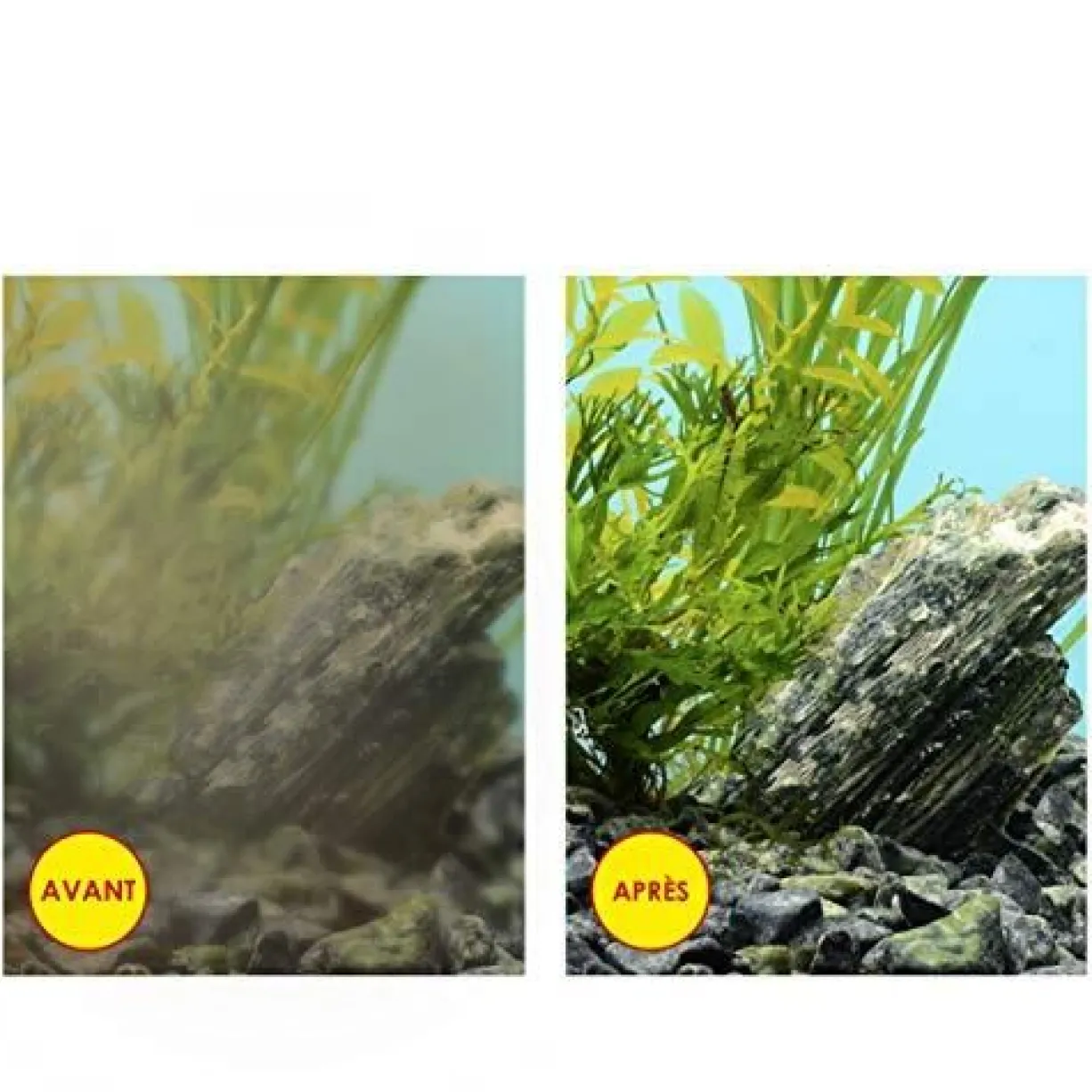 Pack cartouches filtrantes Water Clear & Protection, Water Bio-Bact et Water Foam taille S - Ciano