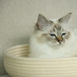 Panier pour chat en corde de coton doux Jess beige - D&D Home