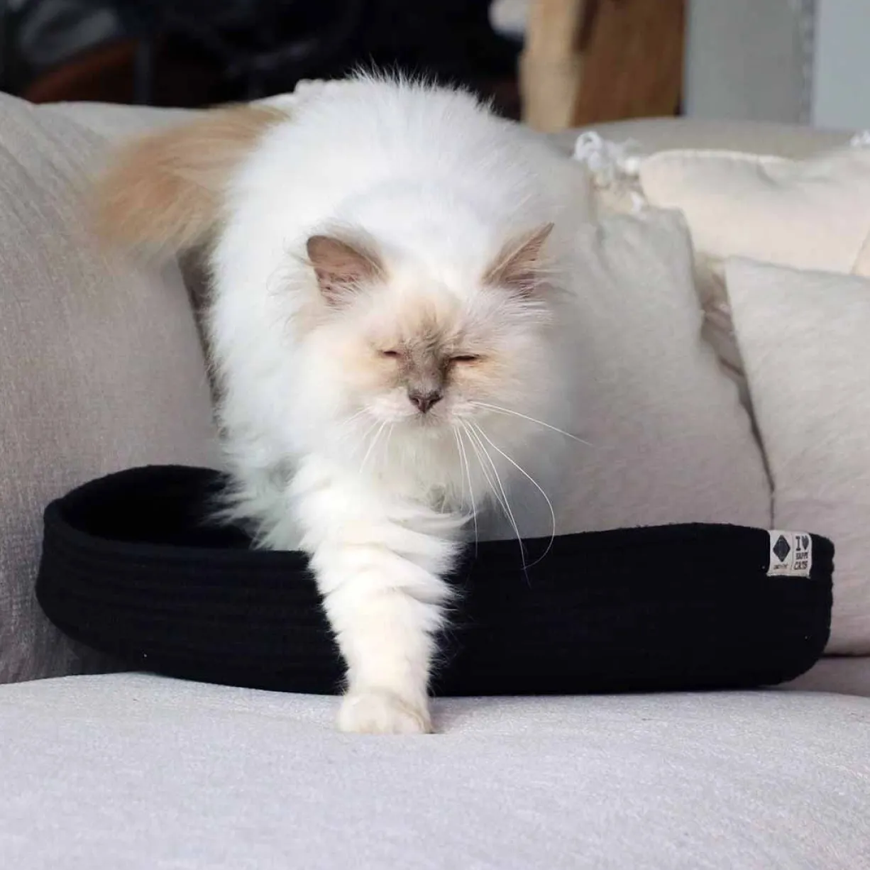 Panier pour chat en corde de coton doux Jess noir - D&D Home