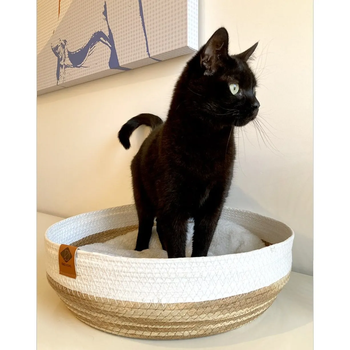 Panier pour chat en corde de papier avec coussin doux Ryan blanc - D&D Home