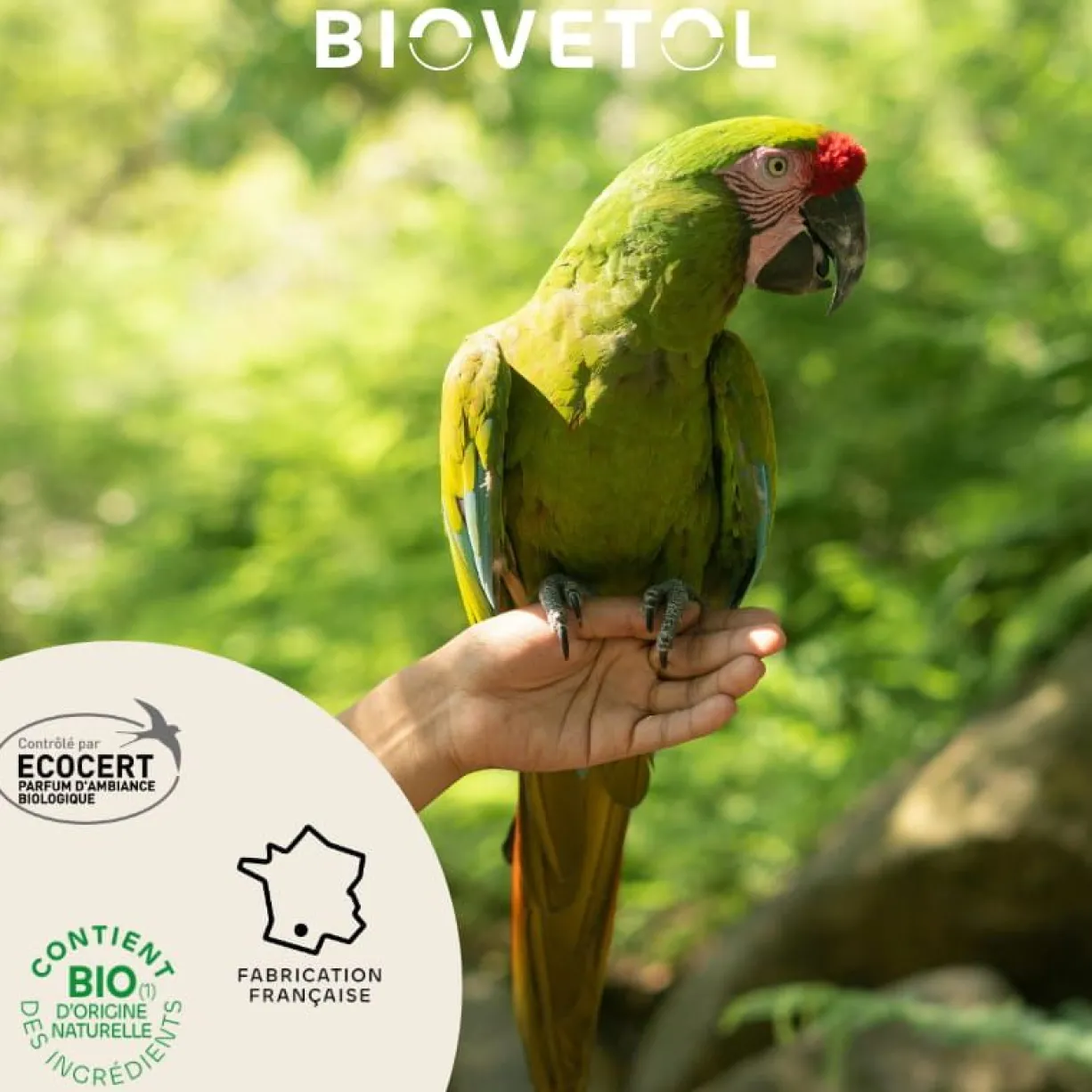 Parfum d’ambiance relaxant oiseaux Spray O’Calme bio 125ML - Biovetol
