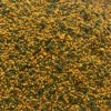 Perle morbide fruits verts pour oiseaux 9kg - Ornitalia