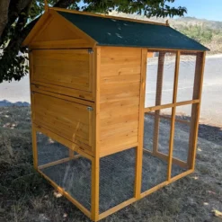 Pigeonnier en bois Huppé toit shingle vert 12 pigeons