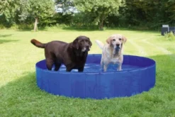Piscine chien 340L diamètre 120cm bleue - Kerbl