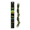 Plante pour terrarium liane de mousse Moss Vine Small - Exo Terra