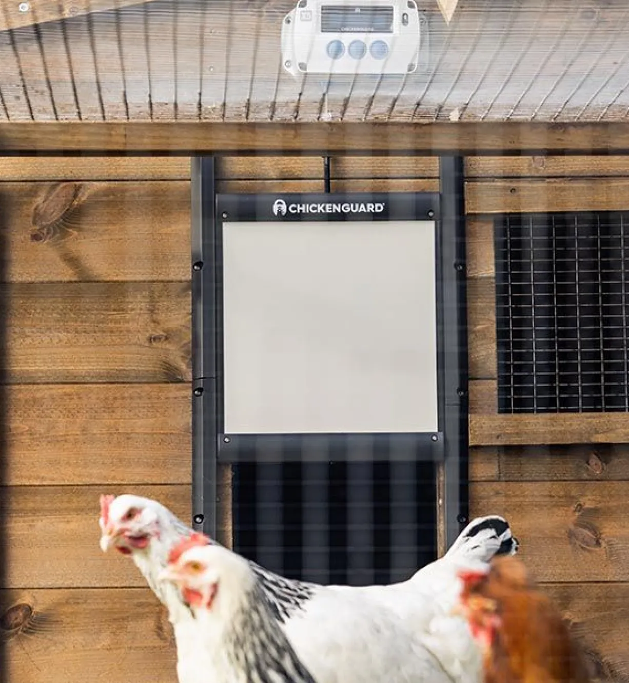 Portier électronique poule ChickenGuard Pro et trappe autobloquante taille unique