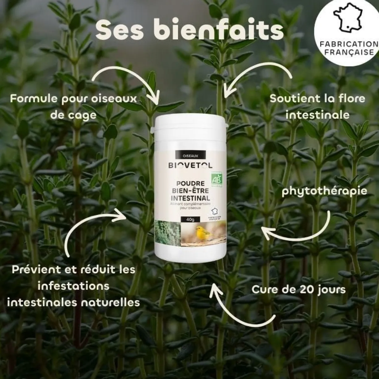 Poudre bien-être intestinal oiseaux Bio 40g - Biovetol