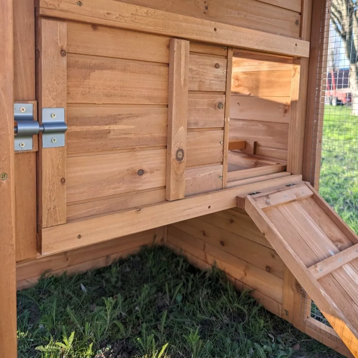 Poulailler Chabo toit shingle jusqu’à 4 poules