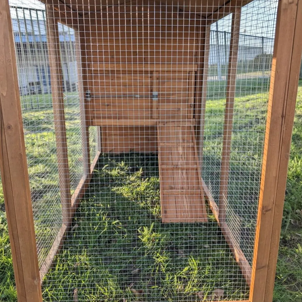 Poulailler Chabo toit shingle jusqu’à 4 poules
