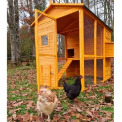 Poulailler Gaulois II toit shingle jusqu’à 10 poules