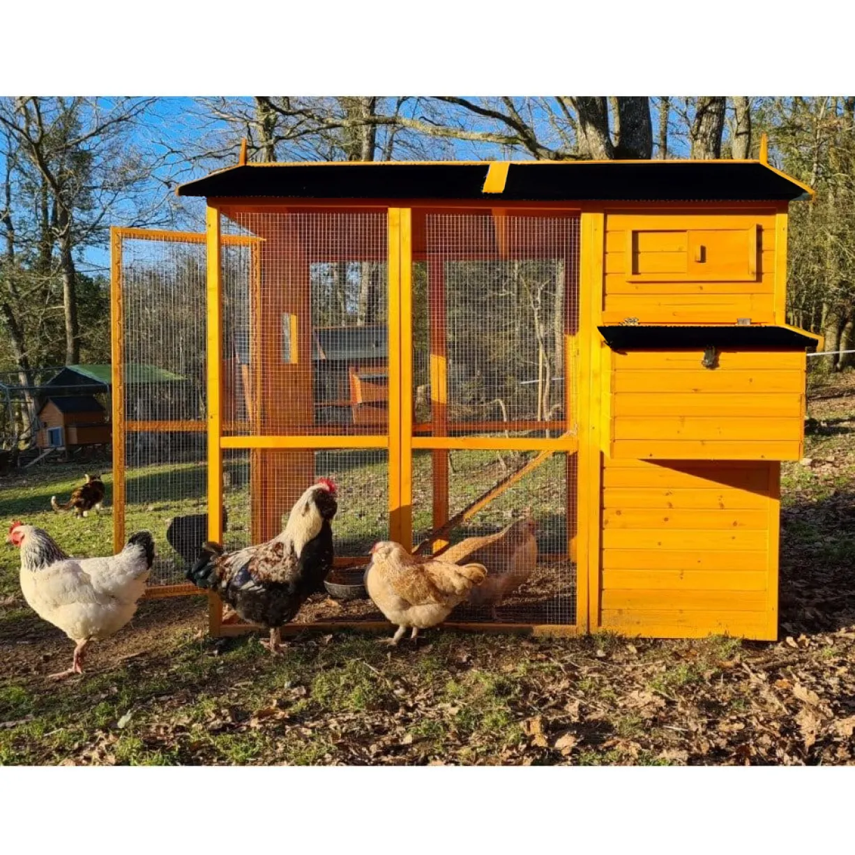 Poulailler Gaulois II toit shingle jusqu’à 10 poules