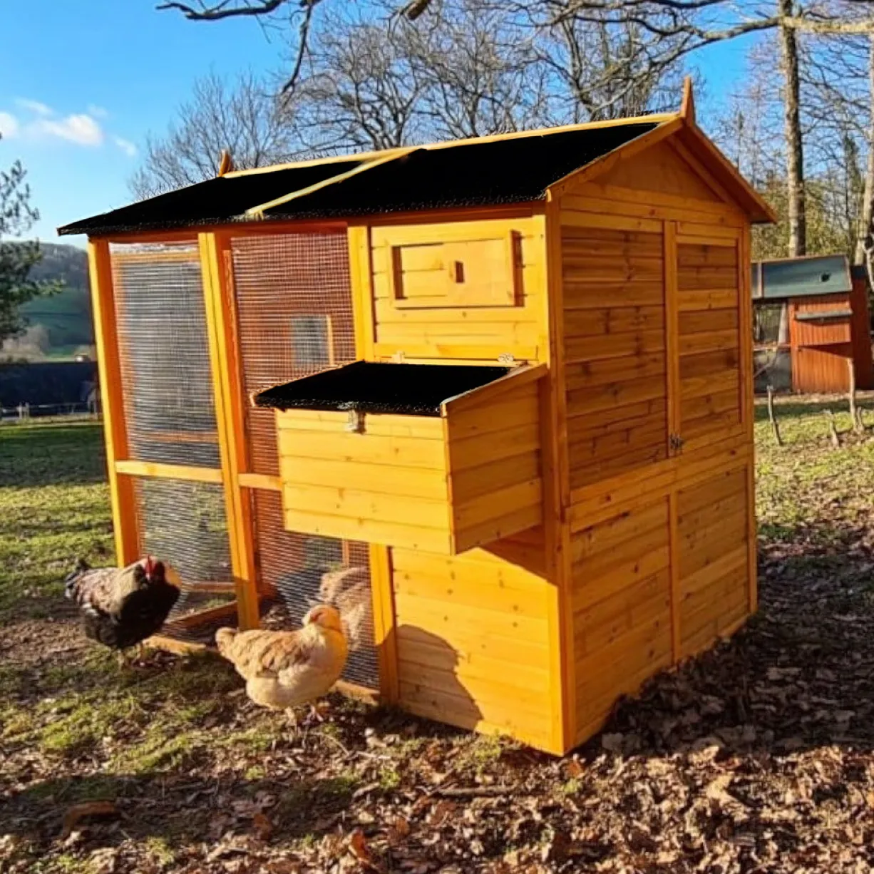 Poulailler Gaulois II toit shingle jusqu’à 10 poules