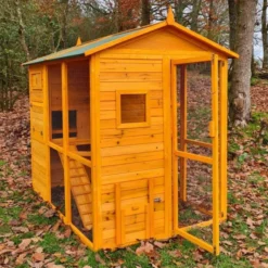 Poulailler Gaulois II toit shingle jusqu’à 10 poules avec extension parc grillagé