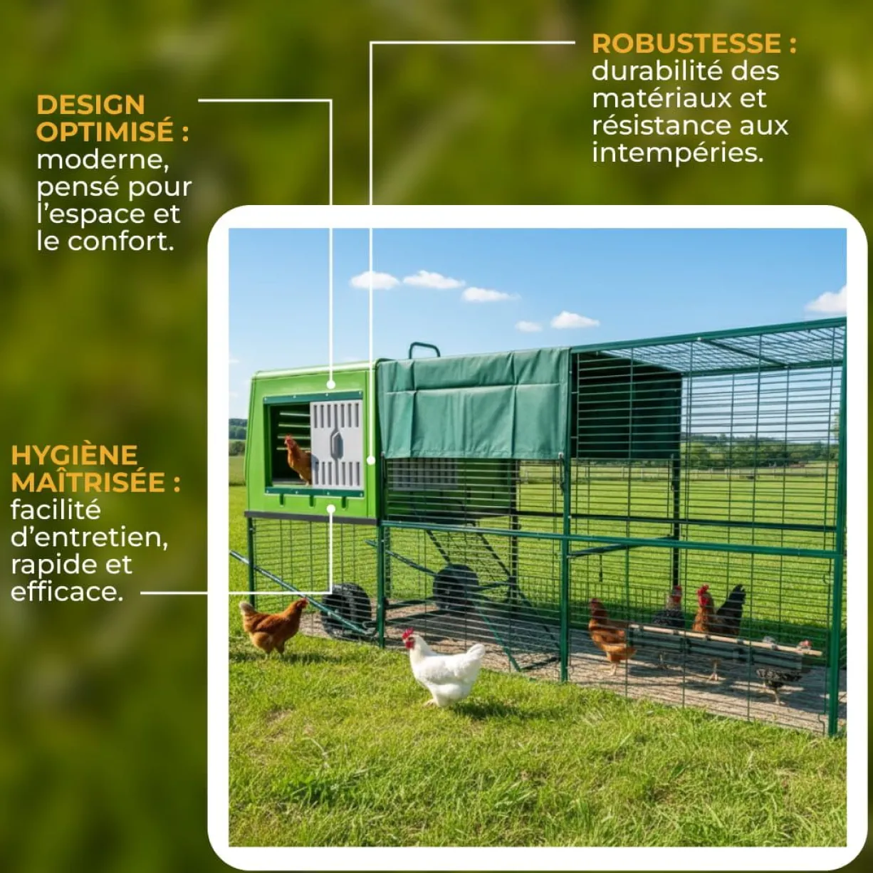 Poulailler plastique mobile avec grand parc 6 à 9 poules The Egg Palace - Gaun